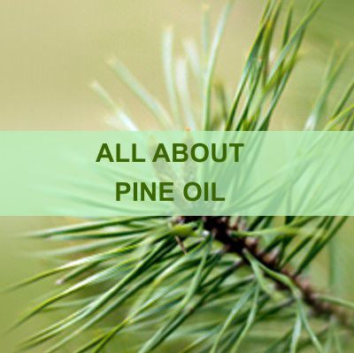 ALL ABOUT PINE OIL