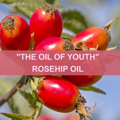 COSMETIC & THERAPEUTIC USES OF ROSEHIP OIL