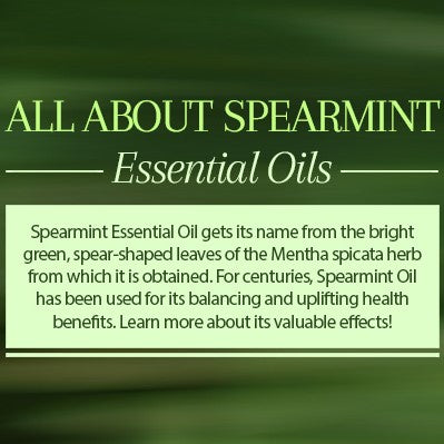 ALL ABOUT SPEARMINT OIL