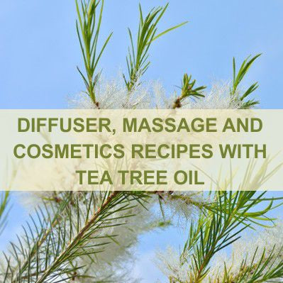 DIFFUSER, MASSAGE, AND COSMETICS RECIPES WITH TEA TREE OIL