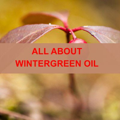 ALL ABOUT WINTERGREEN OIL