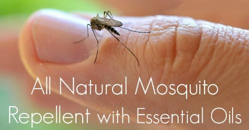 Bug Off!! Bug Repellent - Essentially You Oils
