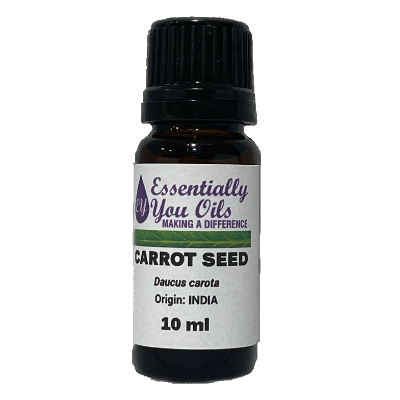 CARROT SEED Essential Oil