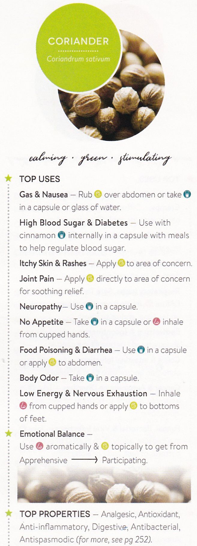 Coriander Essential Oil - Essentially You Oils