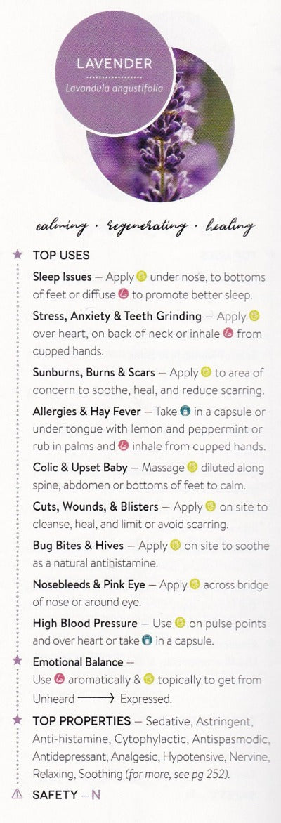 Lavender Essential Oil (Population) - Essentially You Oils
