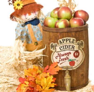 Oak Barrel Cider  Type Fragrance Oil - Essentially You Oils - Ottawa Canada