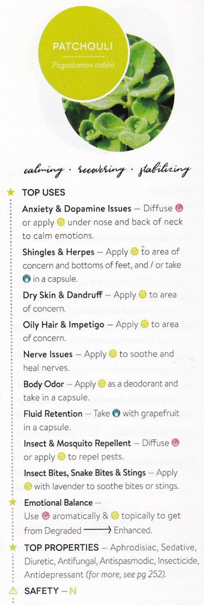 Patchouli Light Essential Oil - Essentially You Oils
