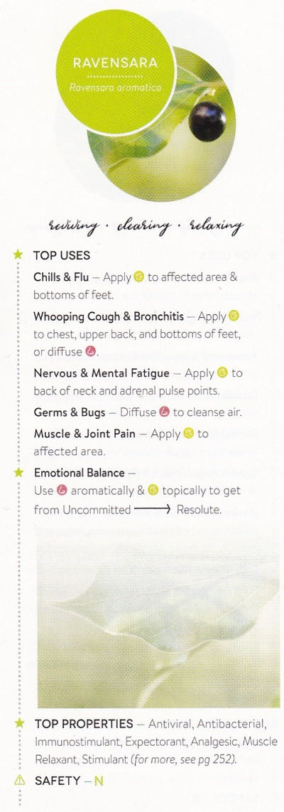 Ravensara Wild Essential Oil - Essentially You Oils